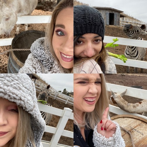 966825f8-7e0f-47a9-8606-d3205631bc3a